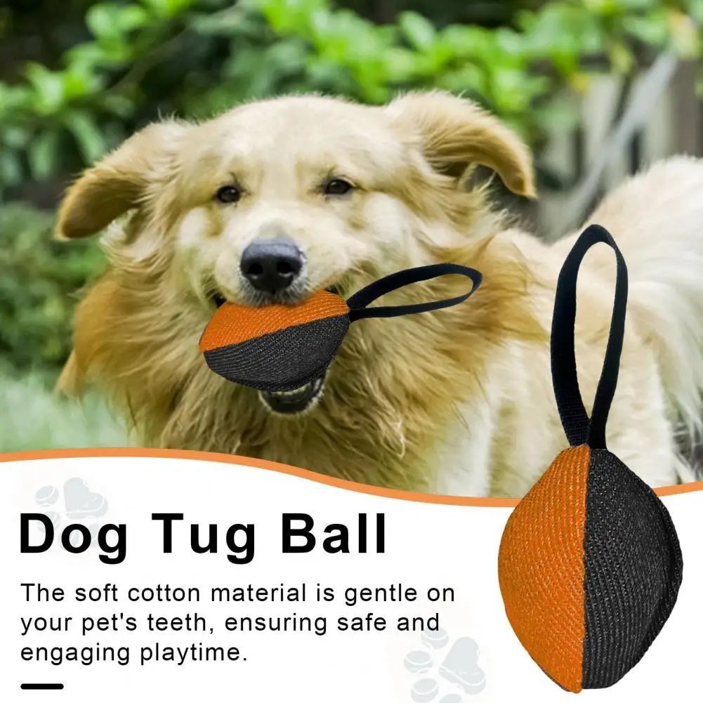 Durable Dog Tug Toy – Fun and Training Combined