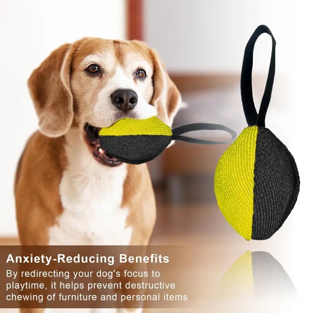 Durable Dog Tug Toy – Fun and Training Combined