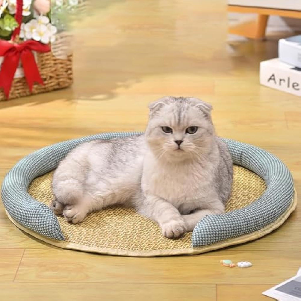 Cooling Cat Bed – Relaxed, Comfortable Summer Comfort