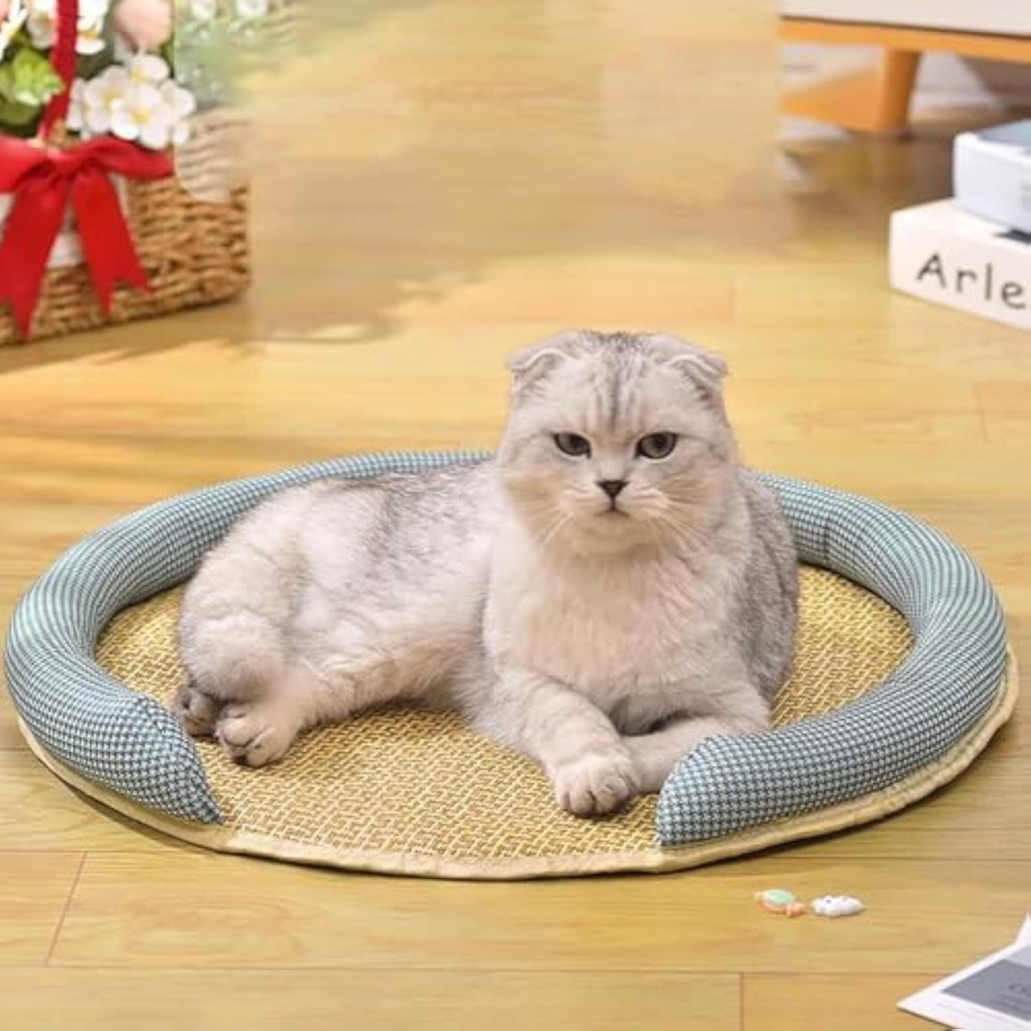 Cooling Cat Bed – Relaxed, Comfortable Summer Comfort