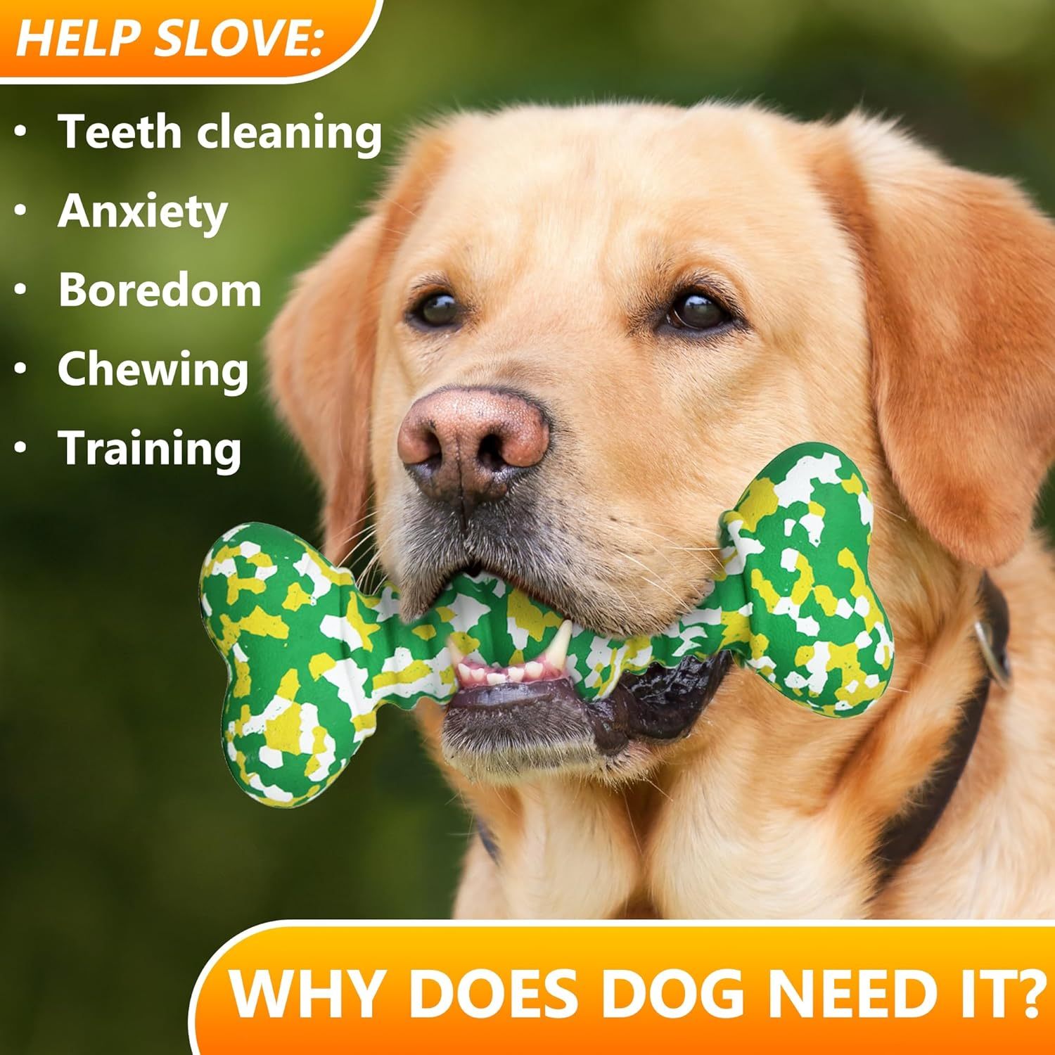 Indestructible Rubber Dog Bone – Long-Lasting Playtime