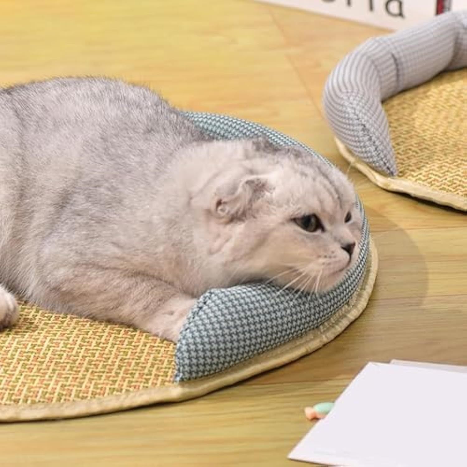 Cooling Cat Bed – Relaxed, Comfortable Summer Comfort