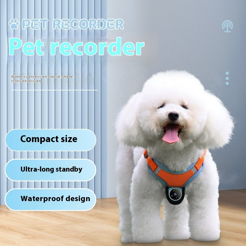Pet Adventure Camera Collar – See the World They See