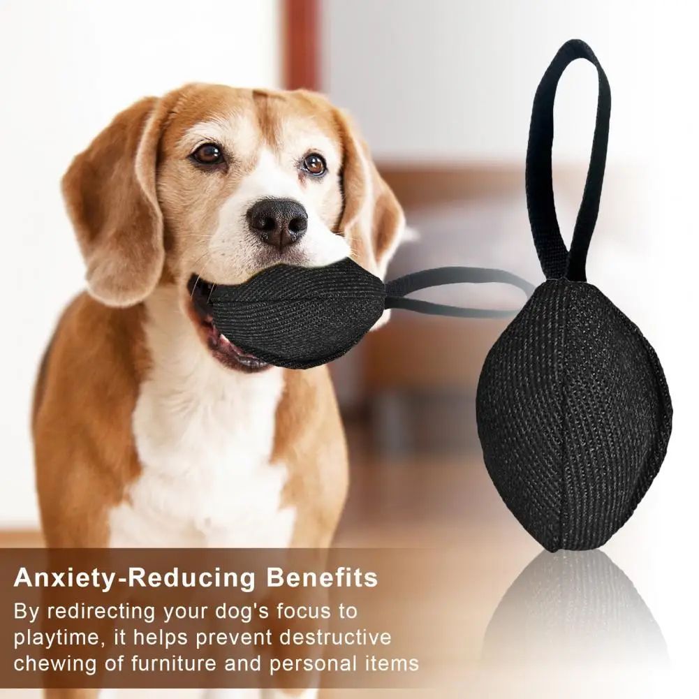 Durable Dog Tug Toy – Fun and Training Combined
