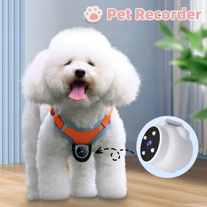 Pet Adventure Camera Collar – See the World They See